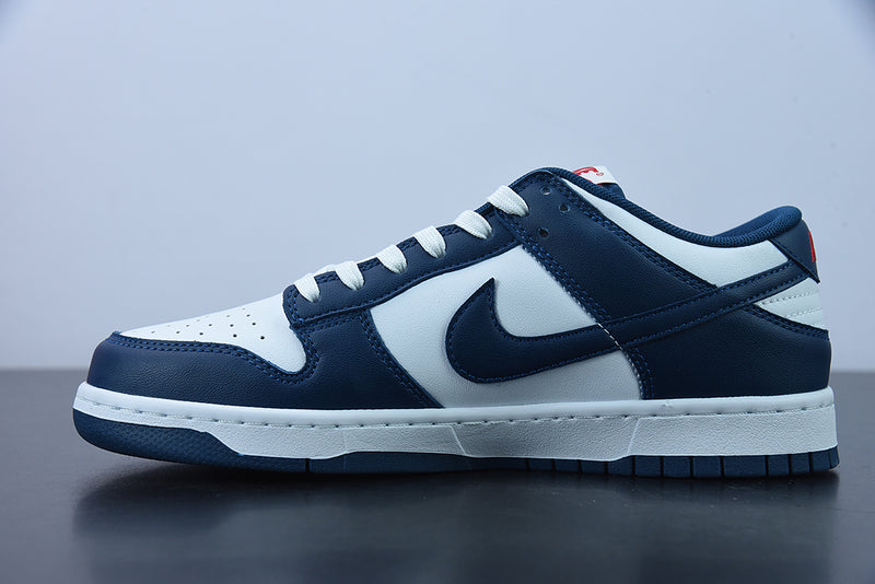 Nike Dunk Low Valerian Blue